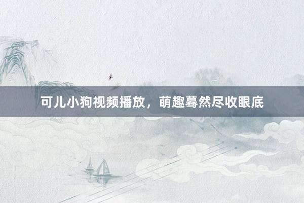 可儿小狗视频播放，萌趣蓦然尽收眼底